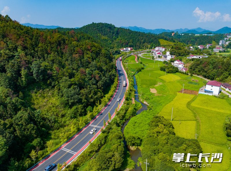 浏阳市东南旅游精品自驾路线，其中一部分为荷文公路，道路旁青山延绵，稻田相随。  均为长沙晚报全媒体记者邹麟摄